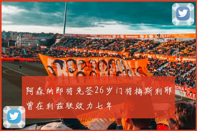 阿森纳即将免签26岁门将梅斯利耶曾在利兹联效力七年