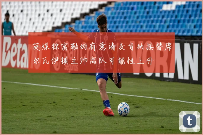英媒称富勒姆有意请麦肯纳接替席尔瓦伊镇主帅离队可能性上升